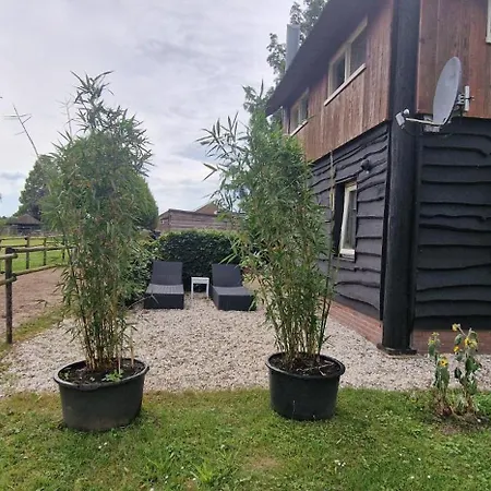 Bed & Breakfast De Hooiberg Elst (Gelderland)